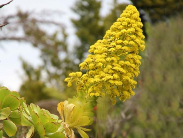 Деревенская Америка - 9