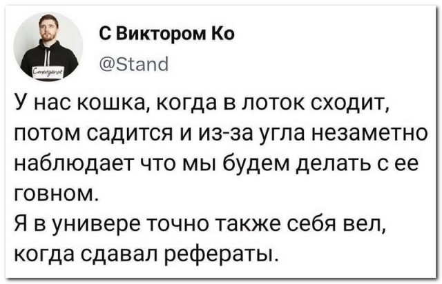 Забавные комментарии из социальных сетей 16.07.23