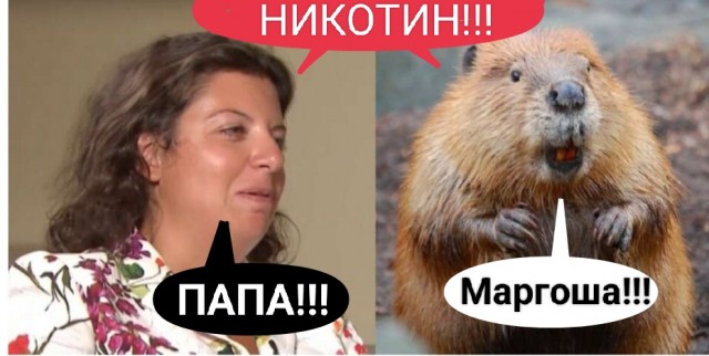 Новые подробности покушения на Собчак и Симонян