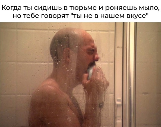 Весёлый полтишок 08.09.23