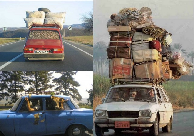 Операция «Антидачник»: на чьей стороне ты?