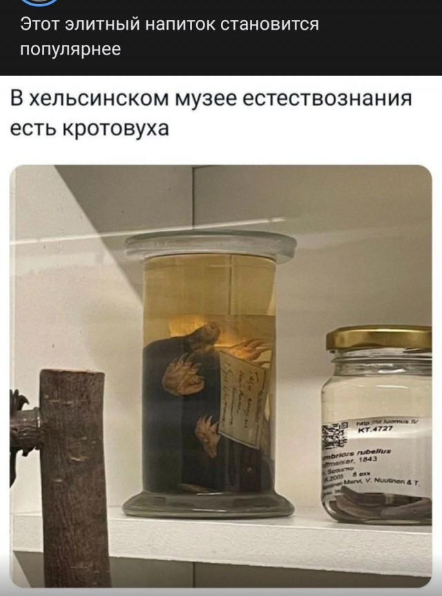 Почему холостая жизнь убивает мужчин