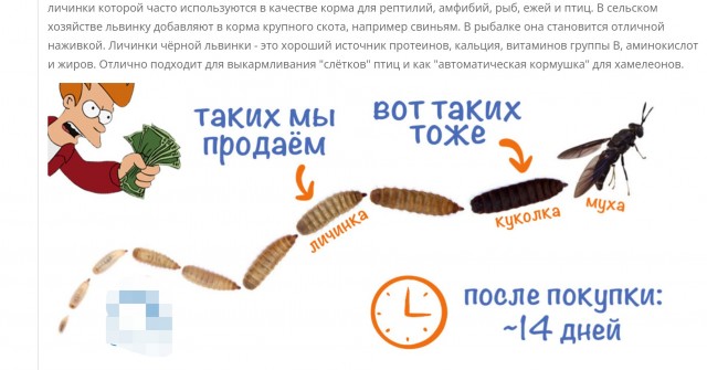 Кто продвигает это у нас?