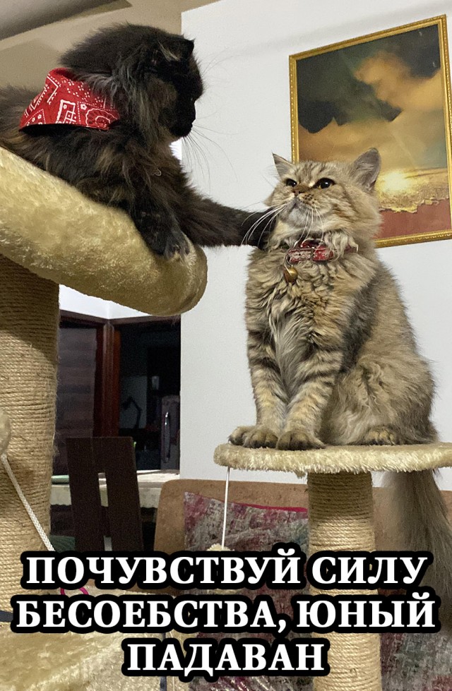Немного картинок и прочей хреноты Vol. 28
