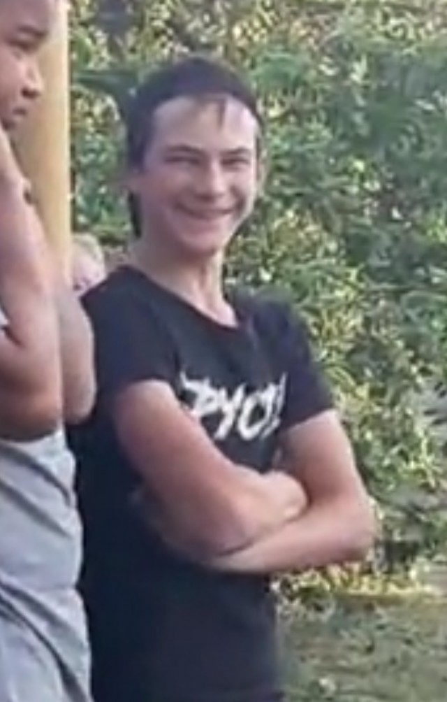 Свинья и цыгане в дтп