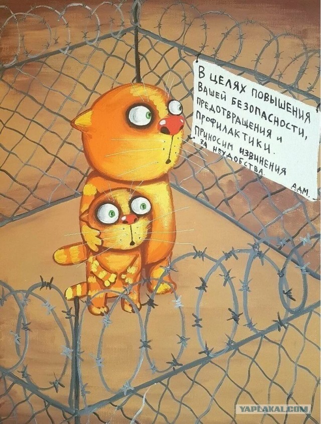 Как банальное изобретение 19 века завершило славную историю Дикого Запада в США