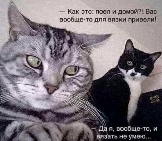 Картинки разные с надписями и без