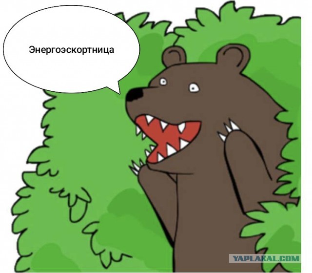 Энергоэскортница