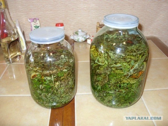 Смысл самогона