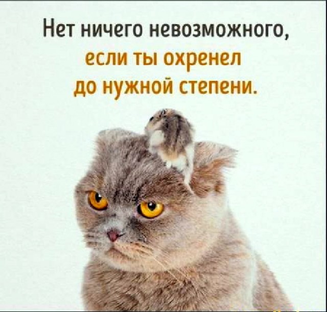 Смехотерапия. Весёлые картинки