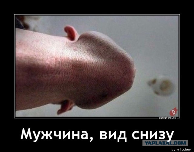 Жена не даёт спереди!