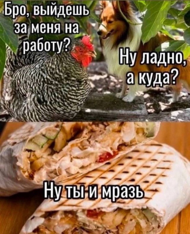 Картинки выходного дня