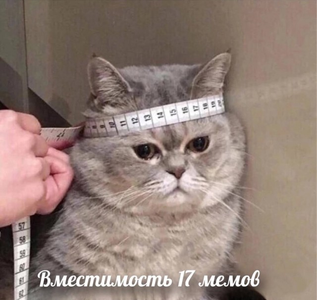 Так себе картинки 15.02.25