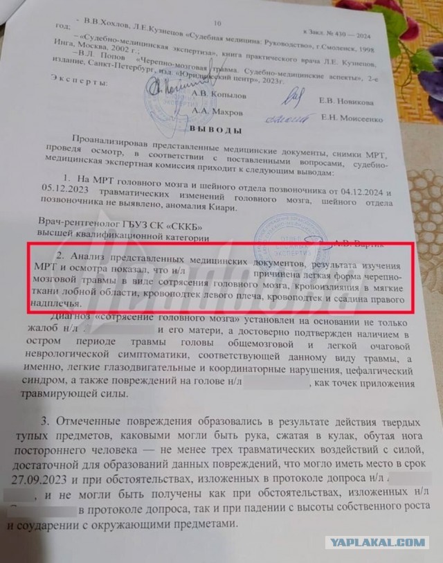 В Ставрополье русская многодетная семья подверглась нападкам со стороны обосновавшихся в регионе армян