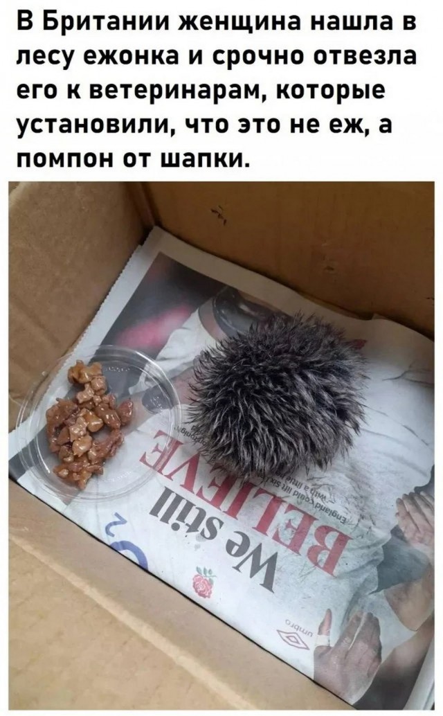 Так себе картинки 28.03.25