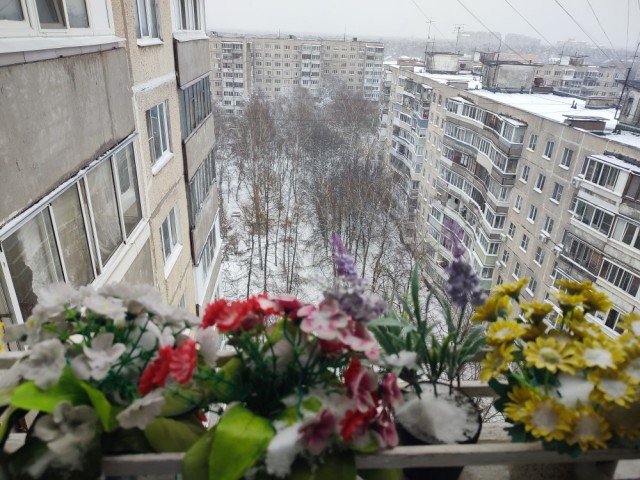 Молча наблюдаем за надвигающимся апокалипсисом
