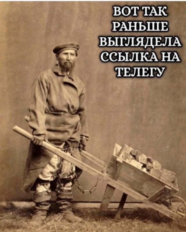 Так себе картинки 28.07.25