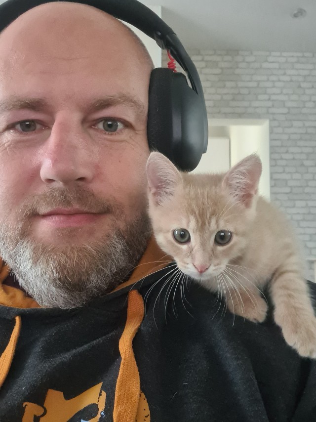 Котовторник.Наши модели