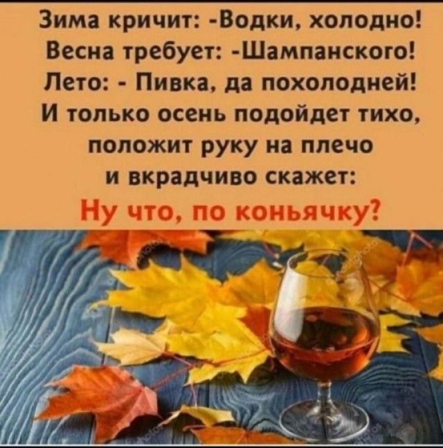 Картинки для деградации 57 (разной степени свежести)