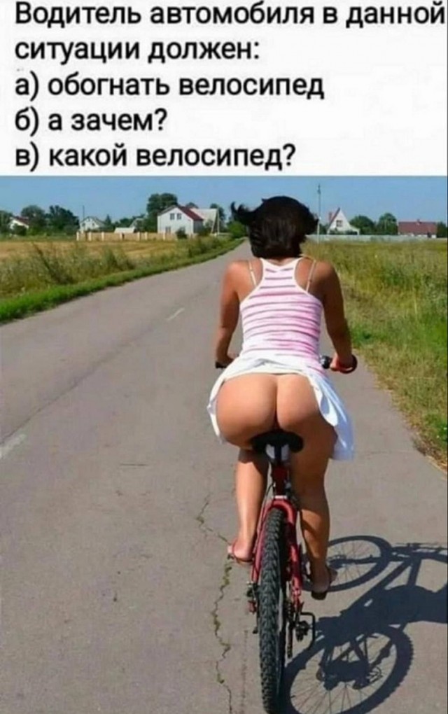 Веселые картинки в пятницу (17.10)