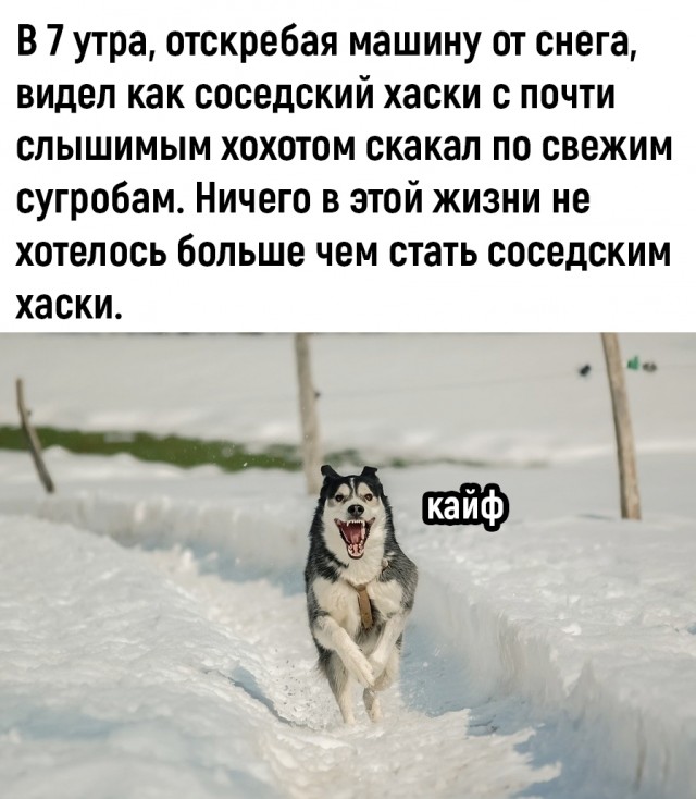 Так себе картинки 18.11.25