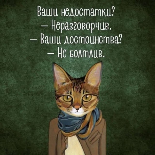 Картиночки, баянчики 10 декабря
