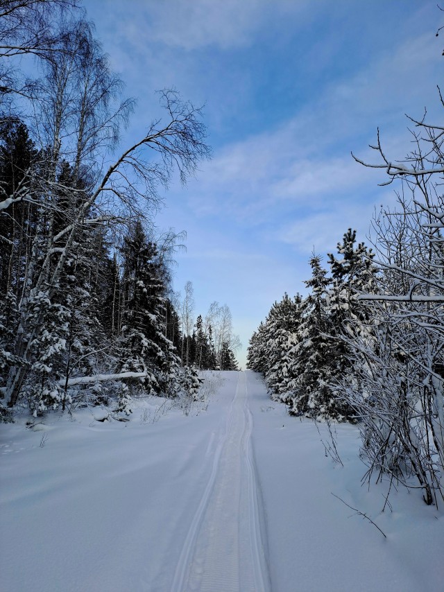 Зимняя дорога