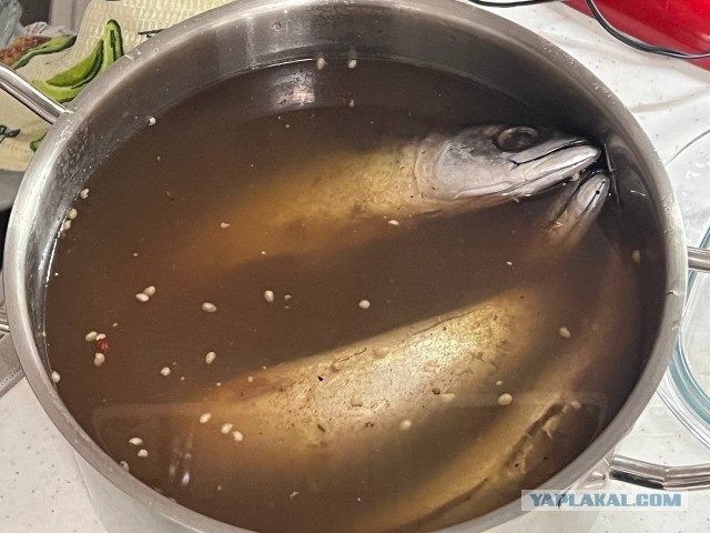 Скумбрия пряного посола
