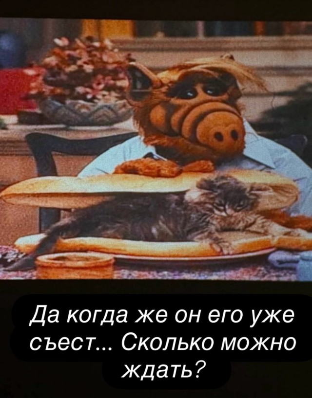 Веселое настроение в картинках (30.04.2026)