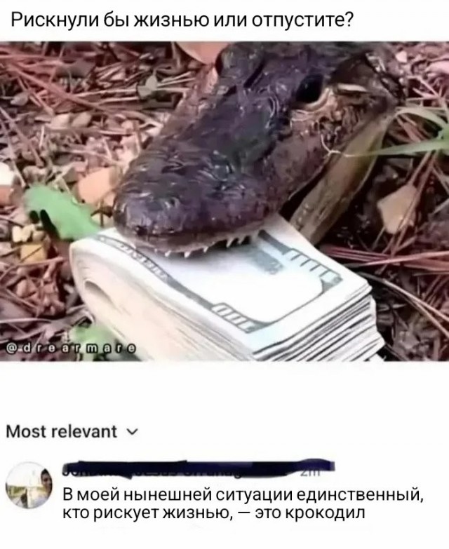 Картинки для деградации 211 (разной степени свежести)