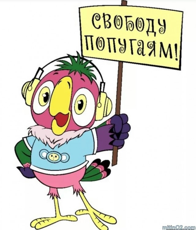 Сегодня всемирный день попугая!