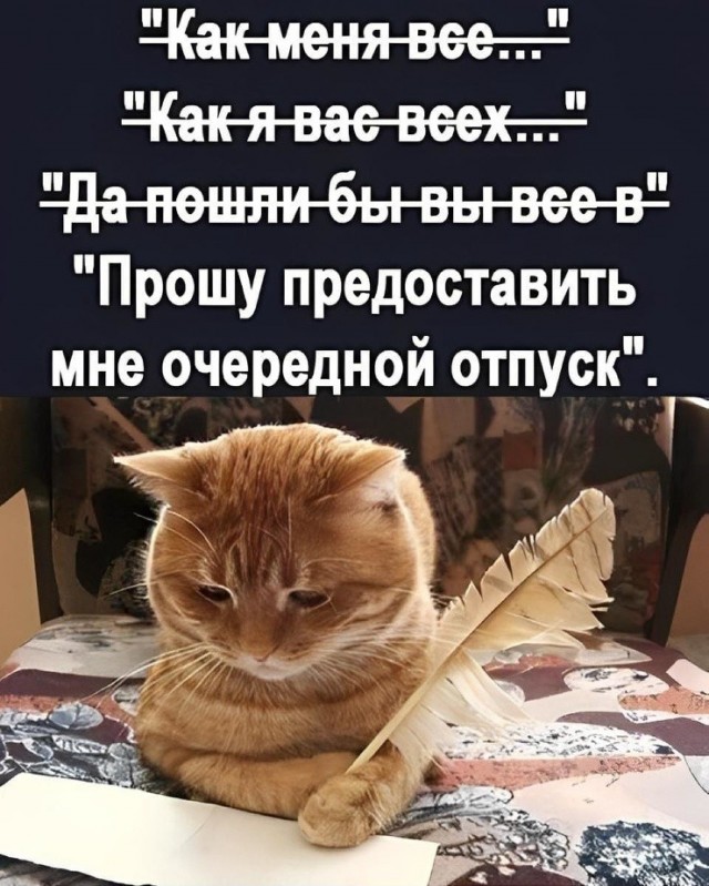 Так себе картинки 27.06.26
