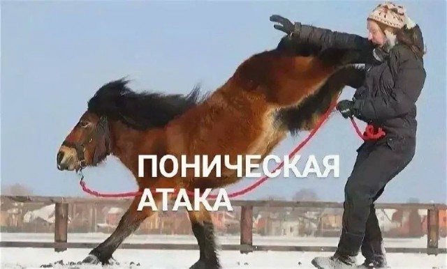 Картинки для деградации 243 (разной степени свежести)