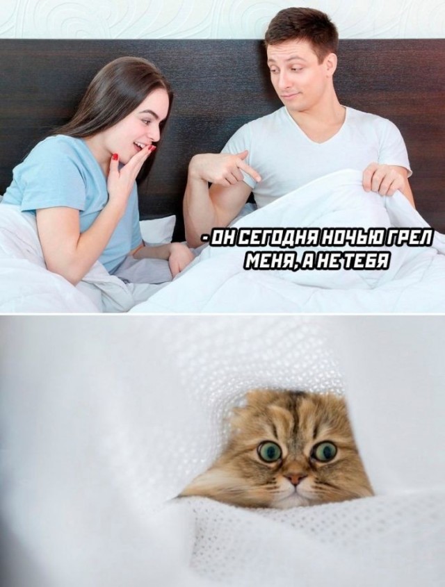 Пятничные бояны
