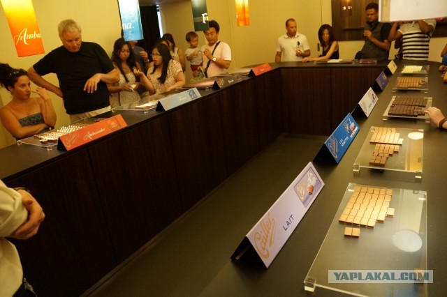 Поездка в Швейцарию