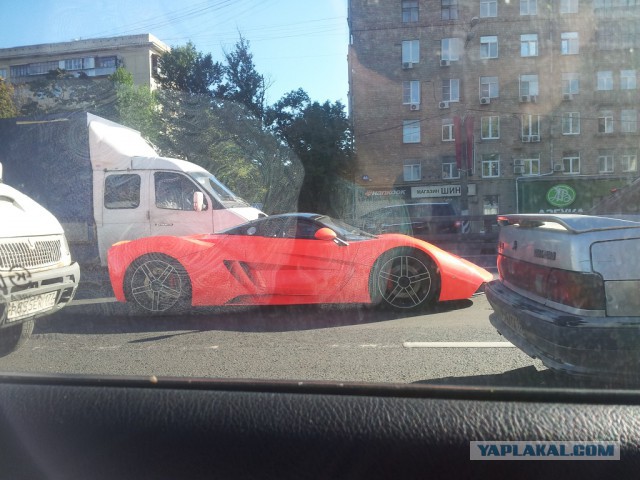 Кого только не встретишь