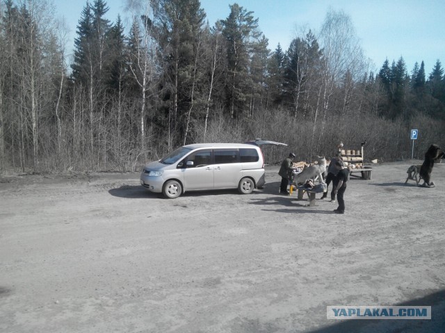 Странствия желтой скамейки)