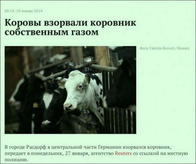 Смешные картинки и комментарии