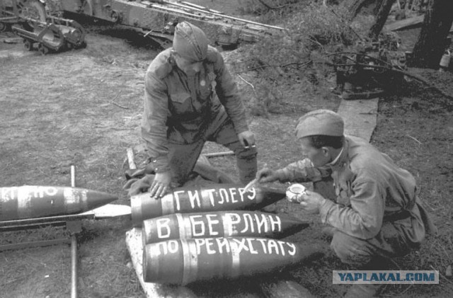 Половина жителей Германии боится войны