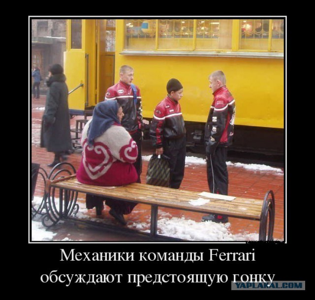 Прикольные картинки из интернета