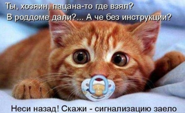 Улыбки, перед которыми невозможно устоять