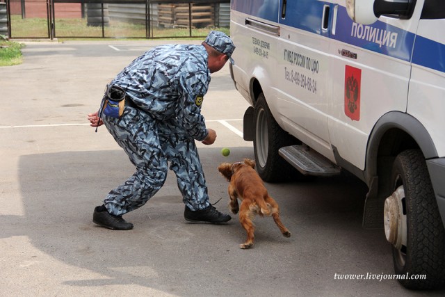 Центр кинологической службы Упр-ния на транспорте