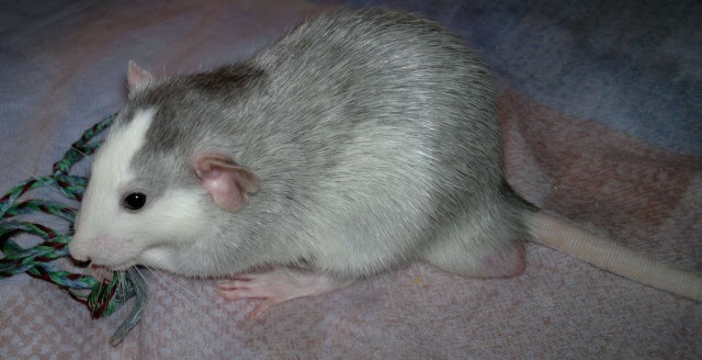 День радости, день печали.