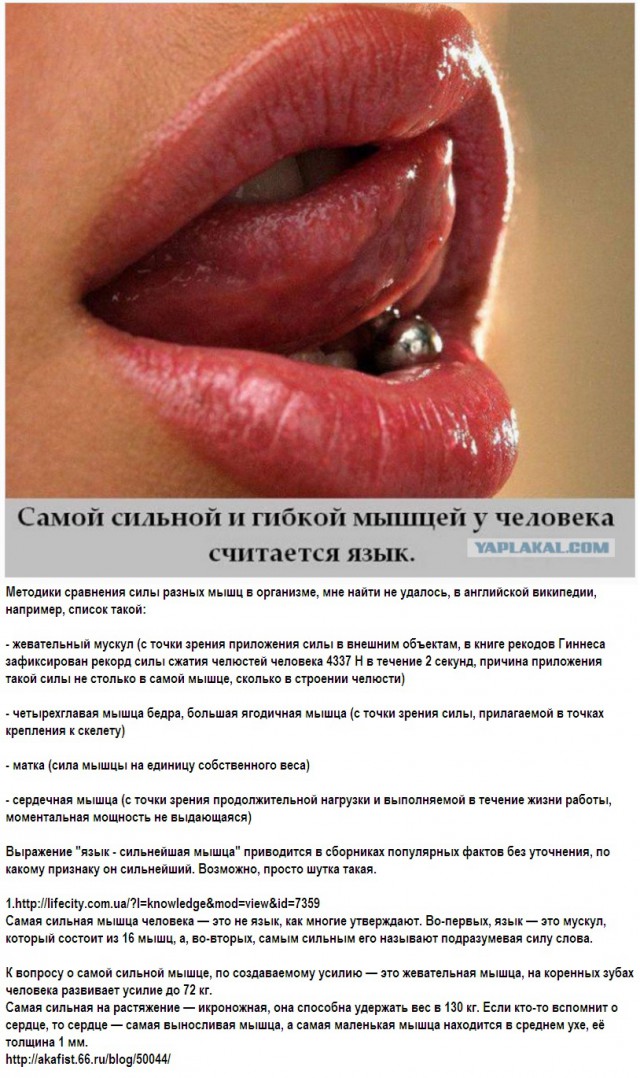 Язык самое