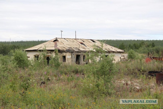 Золотое кольцо Воркуты