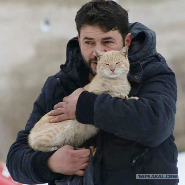 Человек-кот из Алеппо остался в разрушенном войной городе, чтобы ухаживать за домашними питомцами