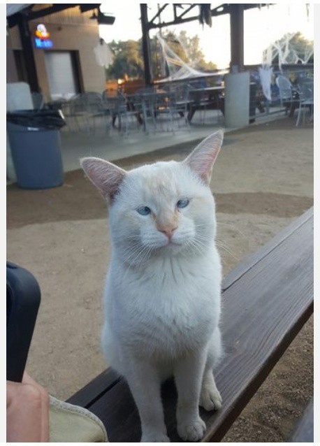 Вот вам фото история про этого парня