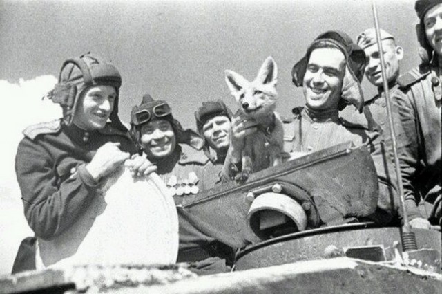 Черно-белые сороковые... Война и весь Мир