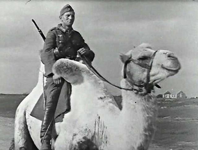 Фотографии к "Нахальному минированию" и "Лехе"