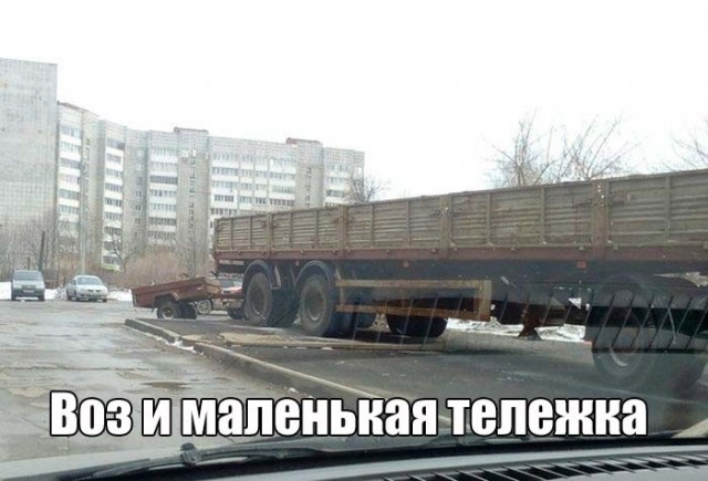 Подборка безудержного веселья